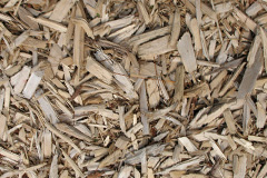 biomass boilers Llanmaes